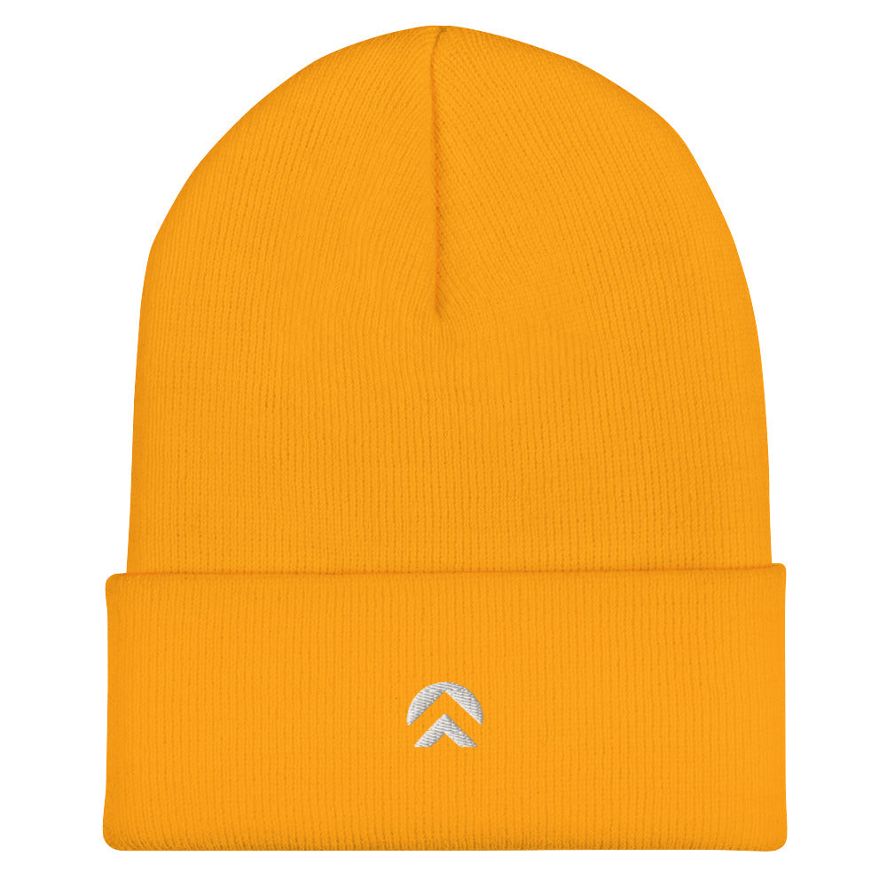 VLC EMBLEM BEANIE